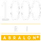1000 GRIT EDGE